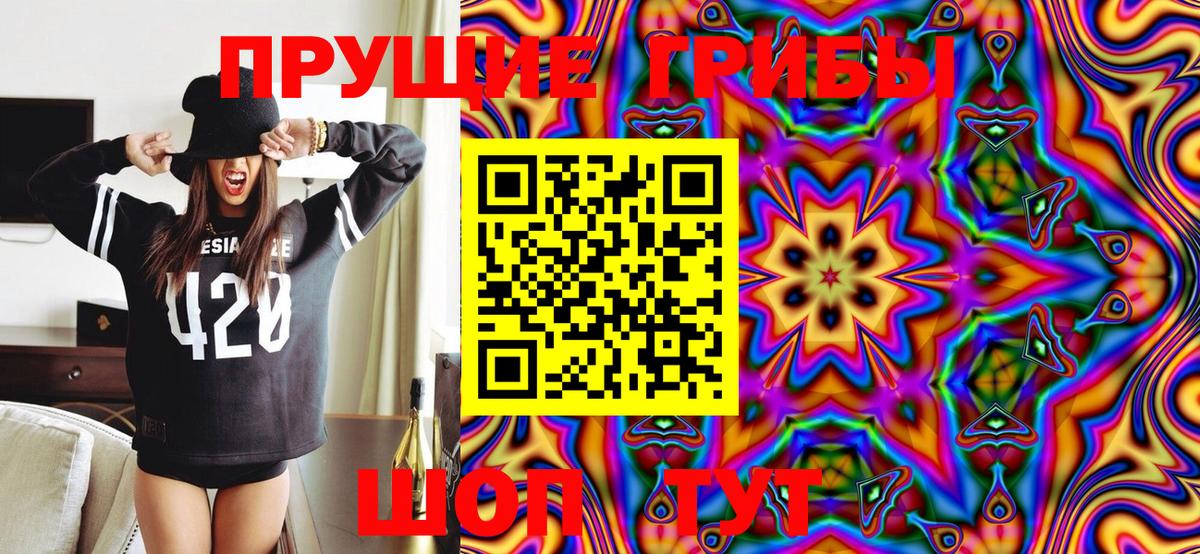 Галлюциногенные грибы Psilocybe  наркотики  Тайшет  Вход с VPN 