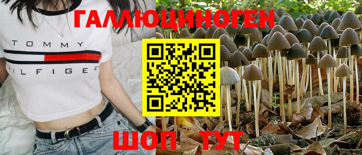 Псилоцибиновые грибы Magic Shrooms Тайшет